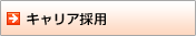 �L�����A�̗p