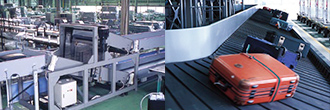 Airport Baggage and Cargo Handling Systems
