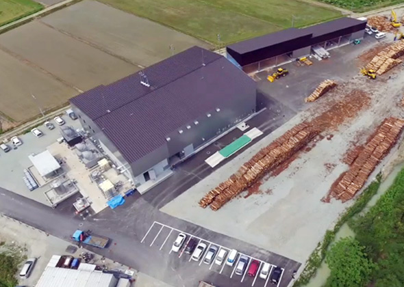 Woody biomass gasification plant