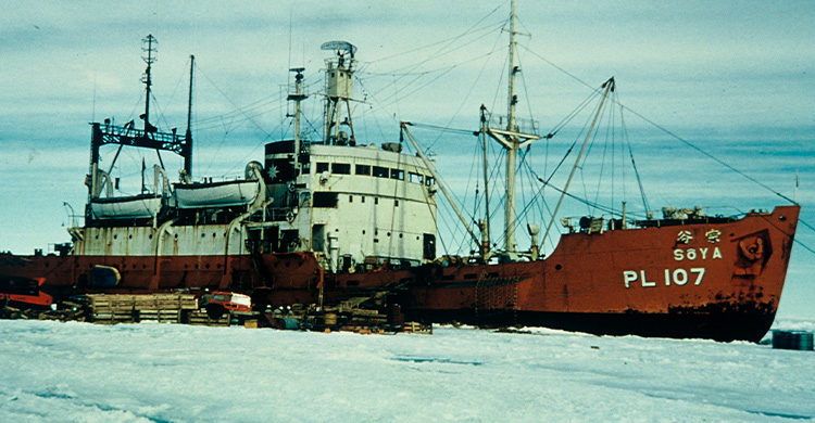 南緯69度・東経39度の地点に接岸完了後、ただちに積荷が降ろされる「宗谷」　写真提供：国立極地研究所